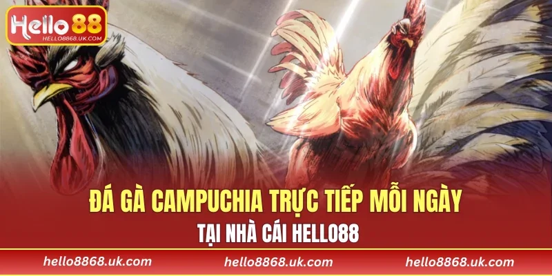 Đá Gà Campuchia